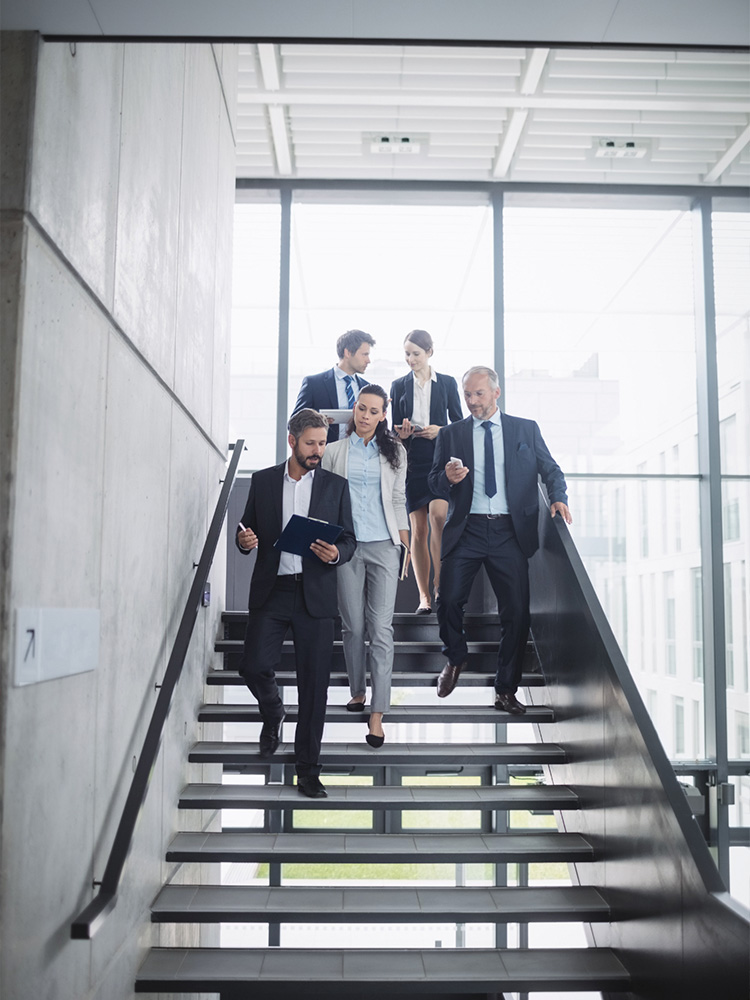 Generador de presupuestos para empresas